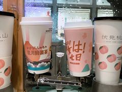-伏小桃(明瓦廊店)