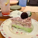 南京吃糕🍰日记！开心果杨梅荔枝千层好绝！
