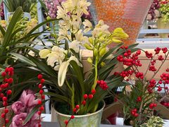 -龙大花卉苗木市场