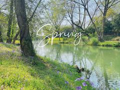 -西溪国家湿地公园