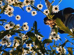 -汉长安城未央宫国家考古遗址公园