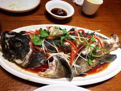 豉蒸南海大龙胆-必点海鲜·鲅鱼水饺(鞍山西道店)