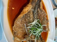 -翡翠江南(国贸商城店)