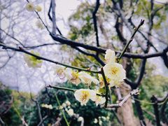 -静安雕塑公园