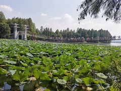 -东湖落雁景区