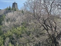 -雁门关景区