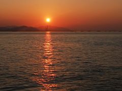 -演武大桥观景平台