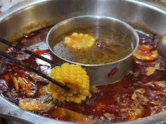 -金鼎雪山牦牛杂火锅(理县总店)