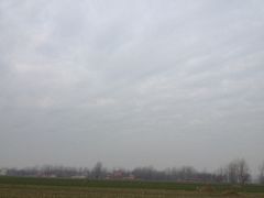 -绝味鸭脖(碧凤坊二店)