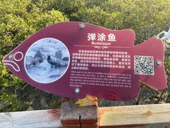 -北海金海湾红树林生态旅游区