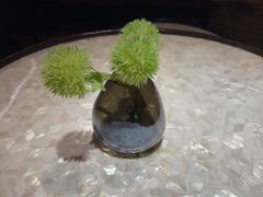 -浅深(北京北四环精品店)