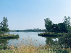 -东郊湿地公园