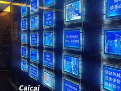 -报业大厦游泳馆