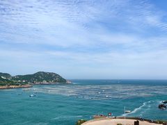 -枸杞岛