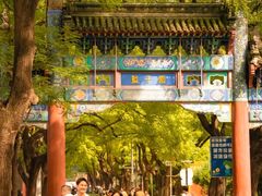 -北京国子监胡同