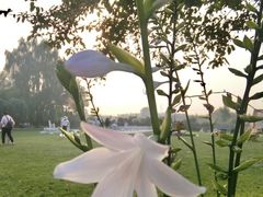 -意大利农场度假村