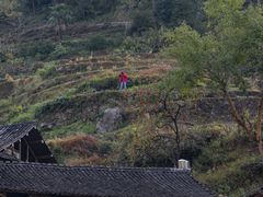 -林坑古村落