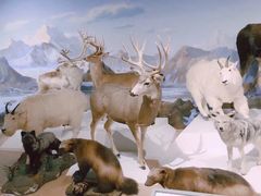 -陕西自然博物馆