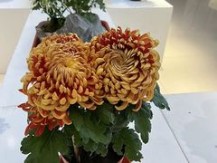 -汇龙潭