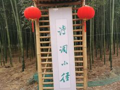 -同里国家湿地公园