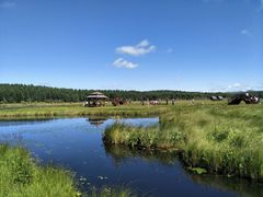 -塞罕坝国家级自然保护区