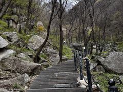 -王顺山国家森林公园