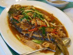 红烧海白鲳-银泰阳光度假酒店-海悦轩中餐厅(海花路店)
