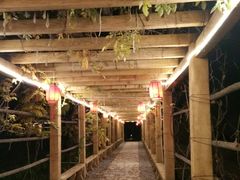 -中家鑫园温泉酒店鑫悦汤泉