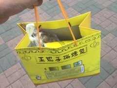 -王妈手撕烤兔
