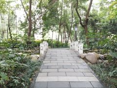-成都市活水公园