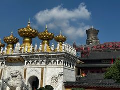-上海东林寺(金山区)
