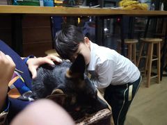 -美联众合宠物医院·爱萌分院·内外科·猫科中心