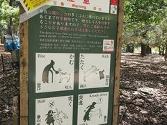 -奈良公园