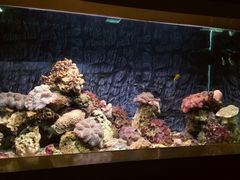 -北戴河圣蓝海洋公园