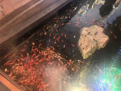 -东海怡品海鲜豆捞(星街坊店)