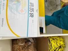 -小伙伴宠物医院·CT·骨科·眼科(高新店)