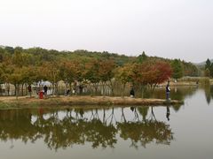 -佛手湖郊野公园