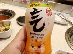 -龍歌自助小火锅(市南金茂湾店)