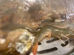 -蟹谢蒸鲜自助餐厅