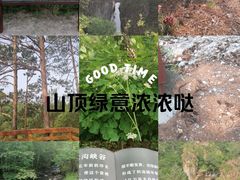 -茅兰沟国家森林公园