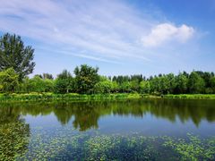 -东郊湿地公园