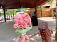 -秦皇岛野生动物园