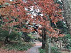 -庐山风景区花径公园
