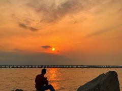 -宝安西湾红树林湿地公园