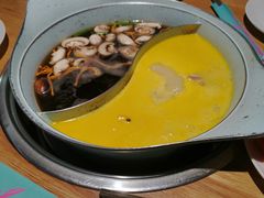 -青瓷火锅料理(西单大悦城店)