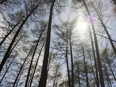 -硗碛藏寨·神木垒景区