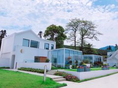 -龙坞茶村