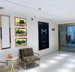 -MIVI野生眉纹绣纹眉