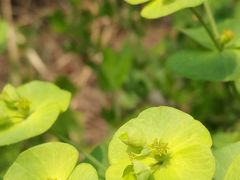 -碓臼峪自然风景区