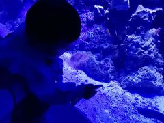 -泉城欧乐堡海洋极地世界